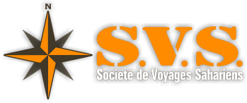 logo SVS Tchad